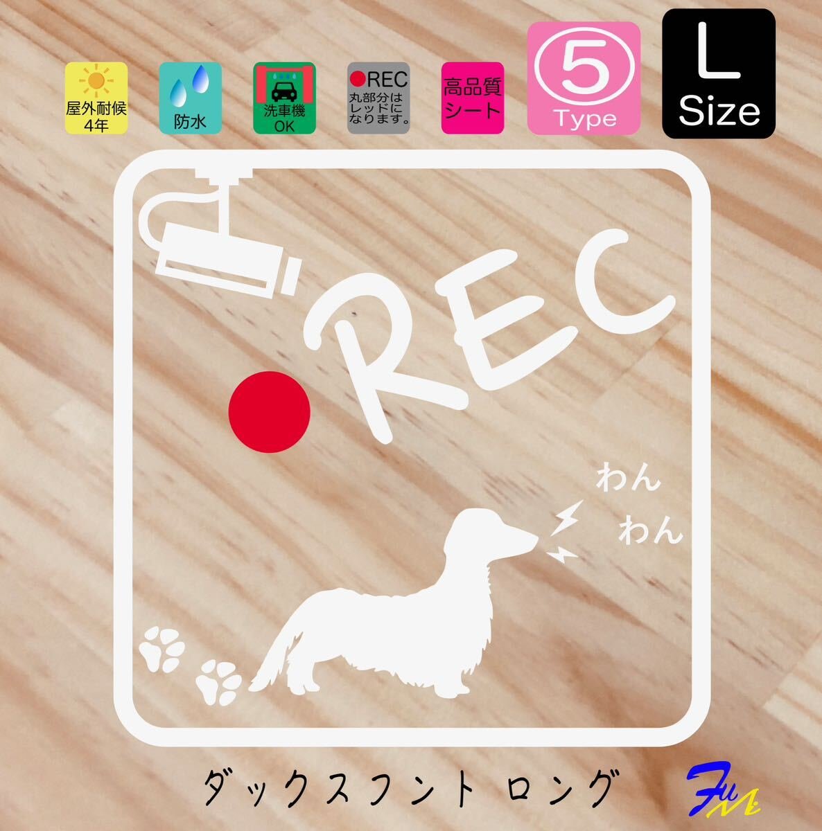 05 L 28 #drFUMI #dFUMI #ddFUMI # 848256