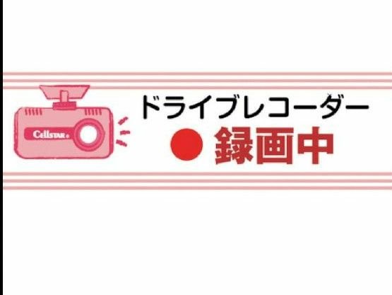 GDO-36 dash camera 906566