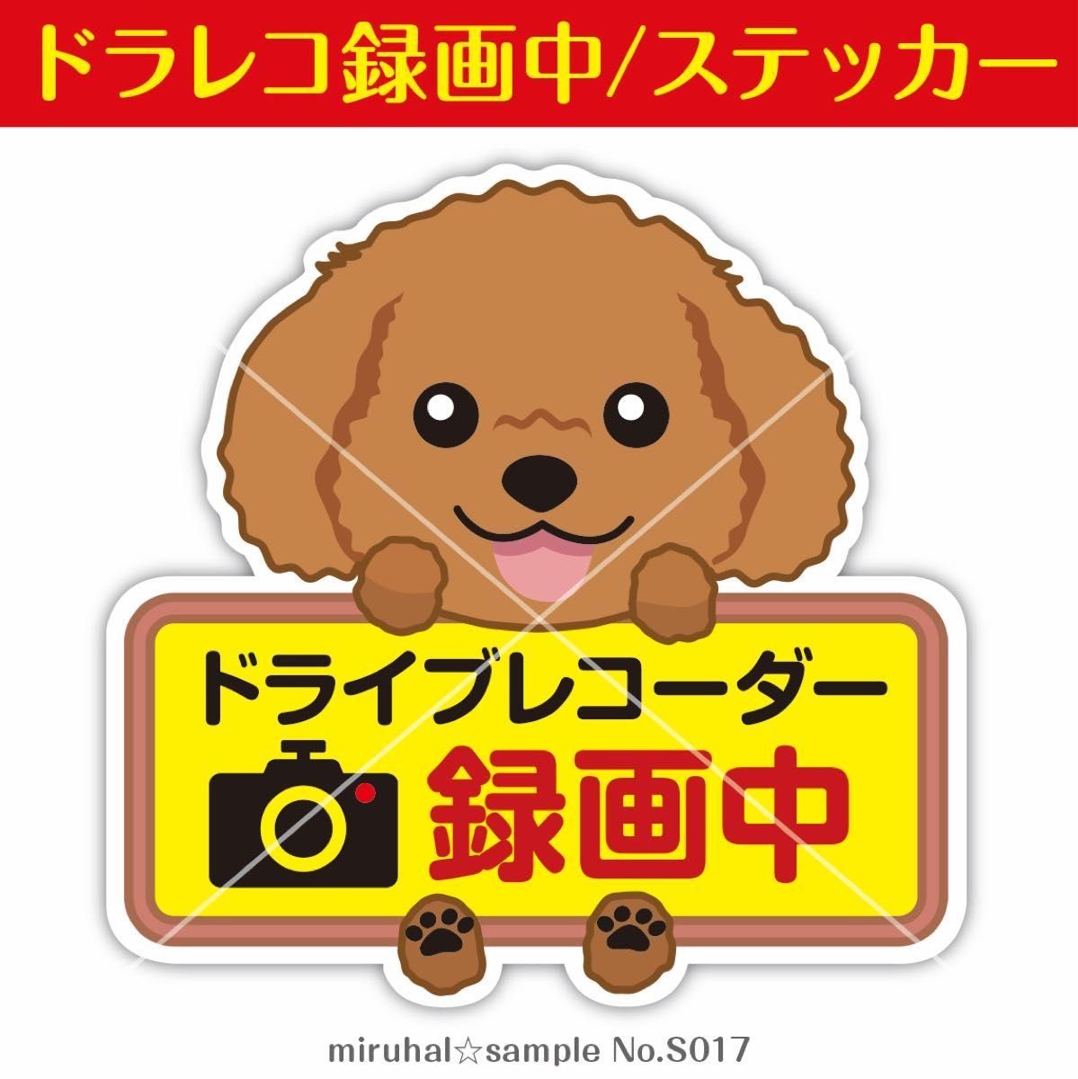 Dash Camera 437904